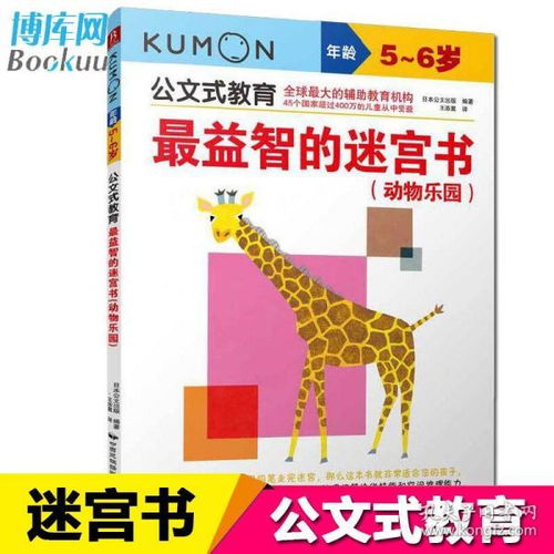 孔网分类