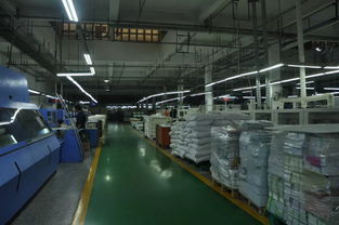 从蓝图到知识 揭秘一本教育图书的诞生与印刷厂车间之旅